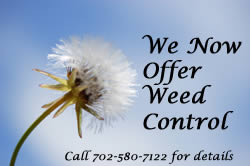 weed service